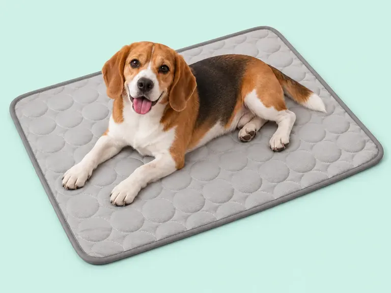 Beagle couché sur un grand tapis rafraîchissant gris en tissu matelassé