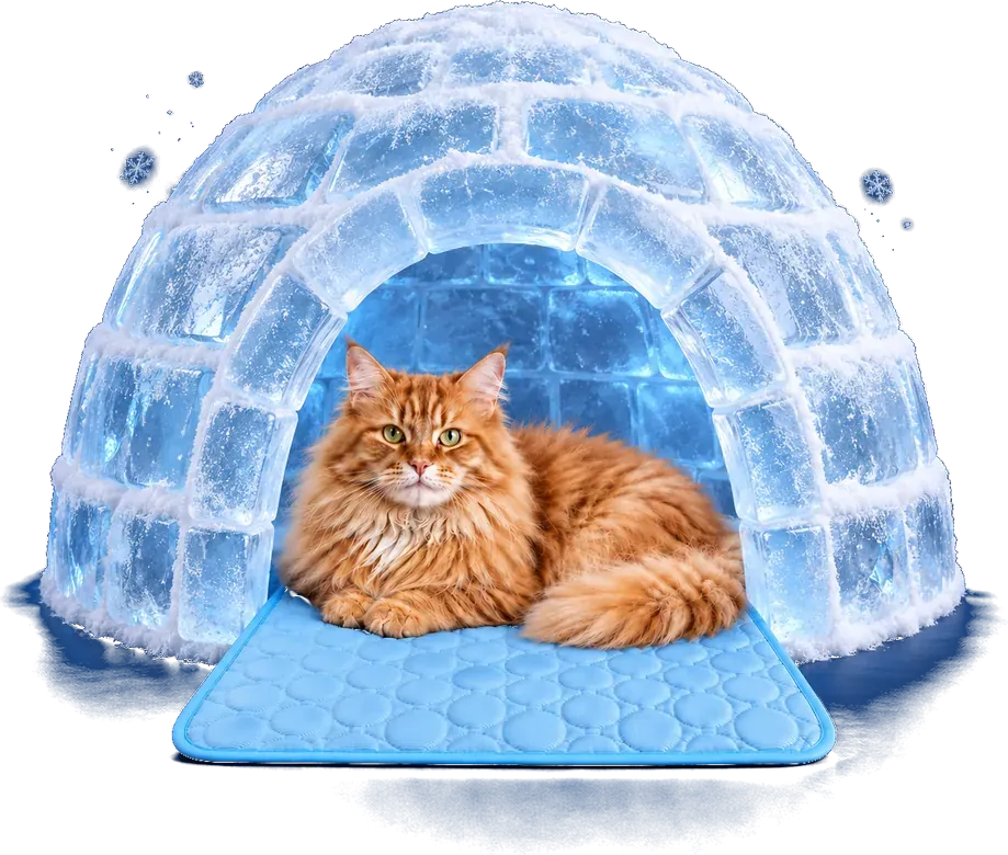 Tapis rafraîchissant bleu ciel en tissu matelassé, un chat roux couché dessus devant un igloo