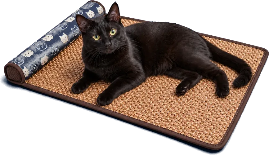 Chat noir allongé sur la natte en rotin tressé, la tête sur son boudin imprimé chats